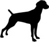 weimaraner welcome to our weimaraner page every weimaraner themed item